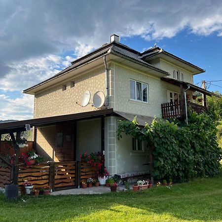 Casa Danut Βίλα Vidra  Εξωτερικό φωτογραφία